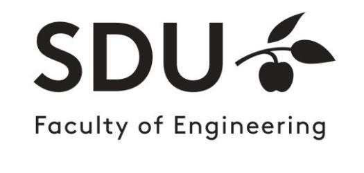 The University of Southern Denmark